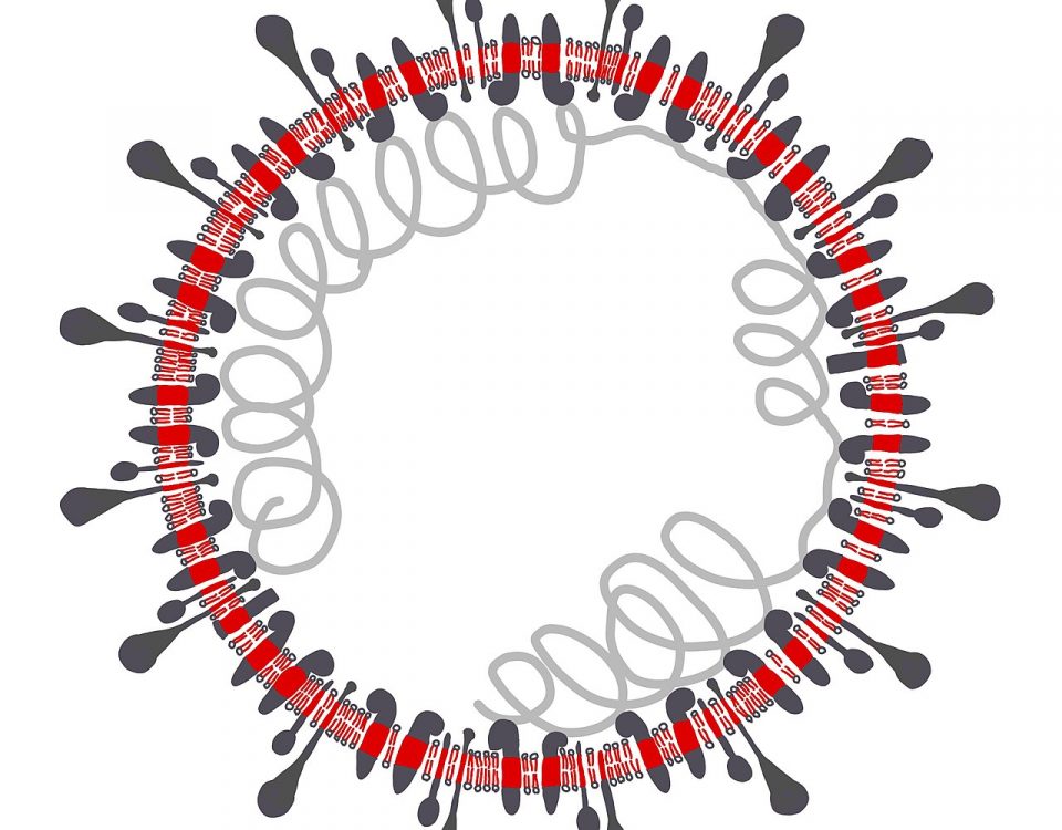 Bild vom Corona Virus